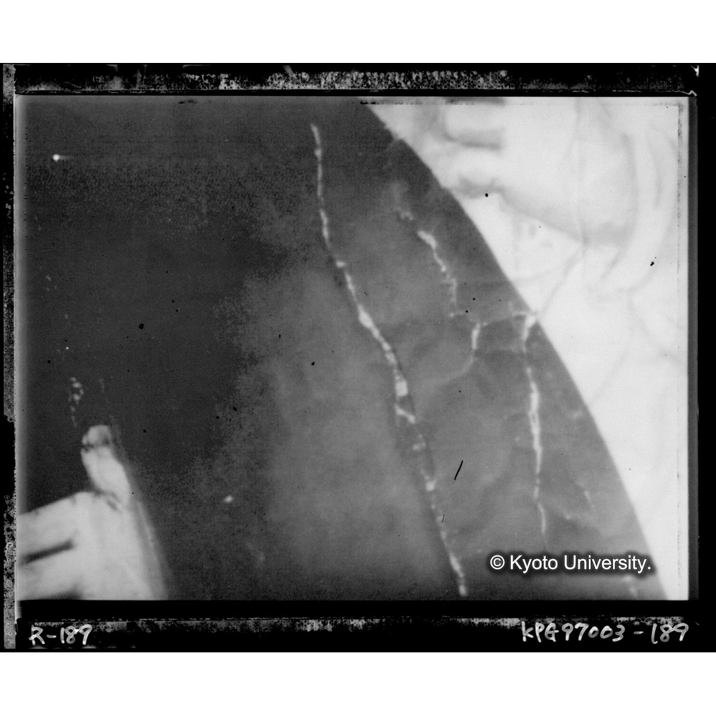 赤外線テレビ撮影画像写真（中央下段） (1)