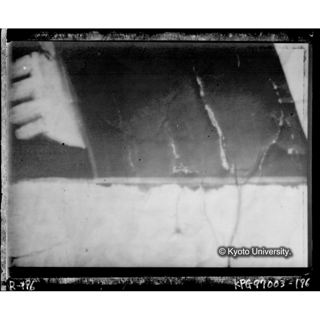 赤外線テレビ撮影画像写真（中央下段） (1)