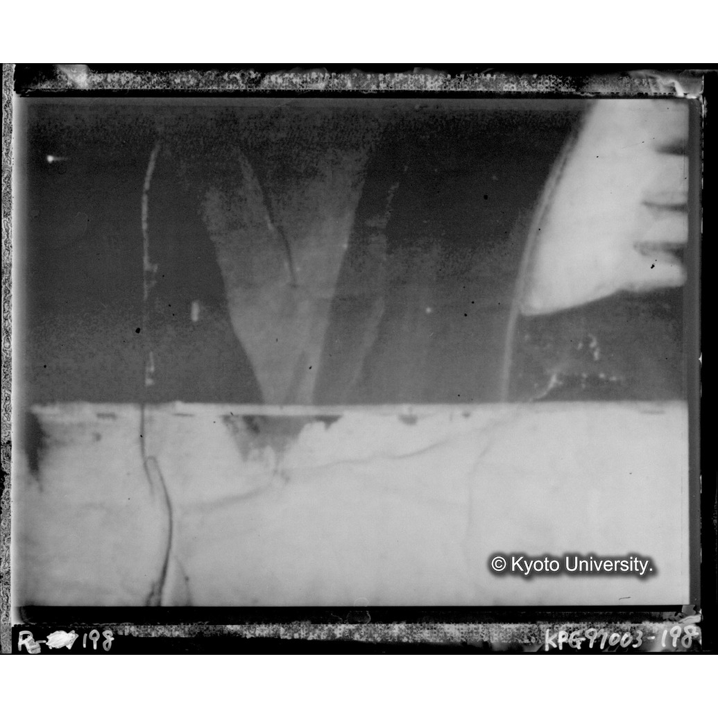 赤外線テレビ撮影画像写真（中央下段） (1)