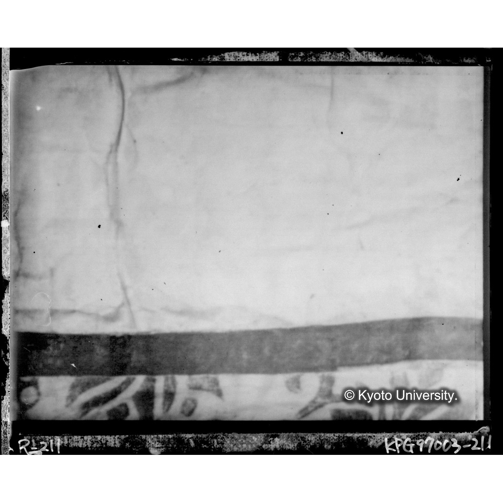 赤外線テレビ撮影画像写真（中央下段） (1)