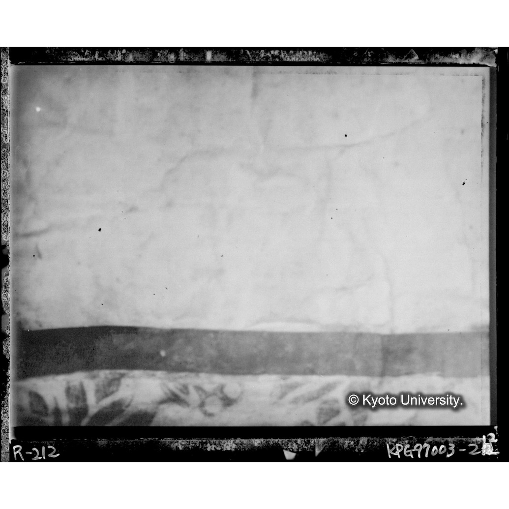 赤外線テレビ撮影画像写真（中央下段） (1)