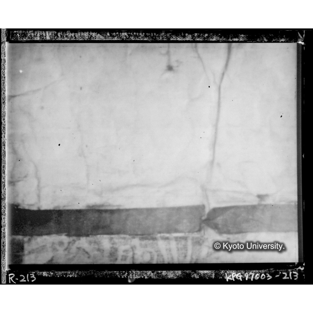 赤外線テレビ撮影画像写真（中央下段） (1)