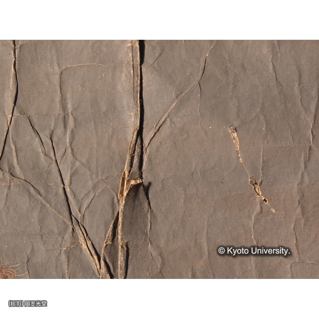 損傷（折れ） (1)