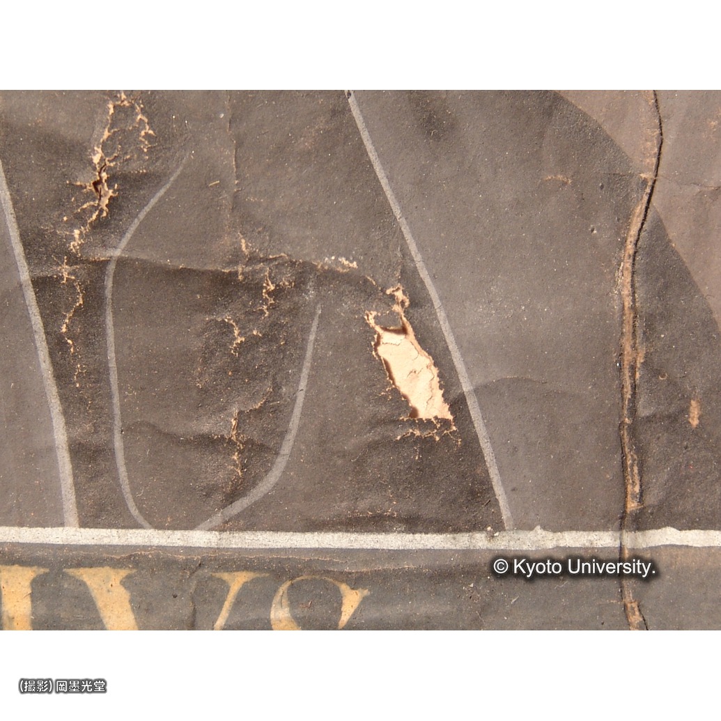 損傷（折れ・剥離） (1)