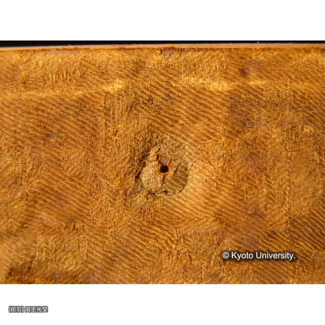 鋲無し（上裂） (1)