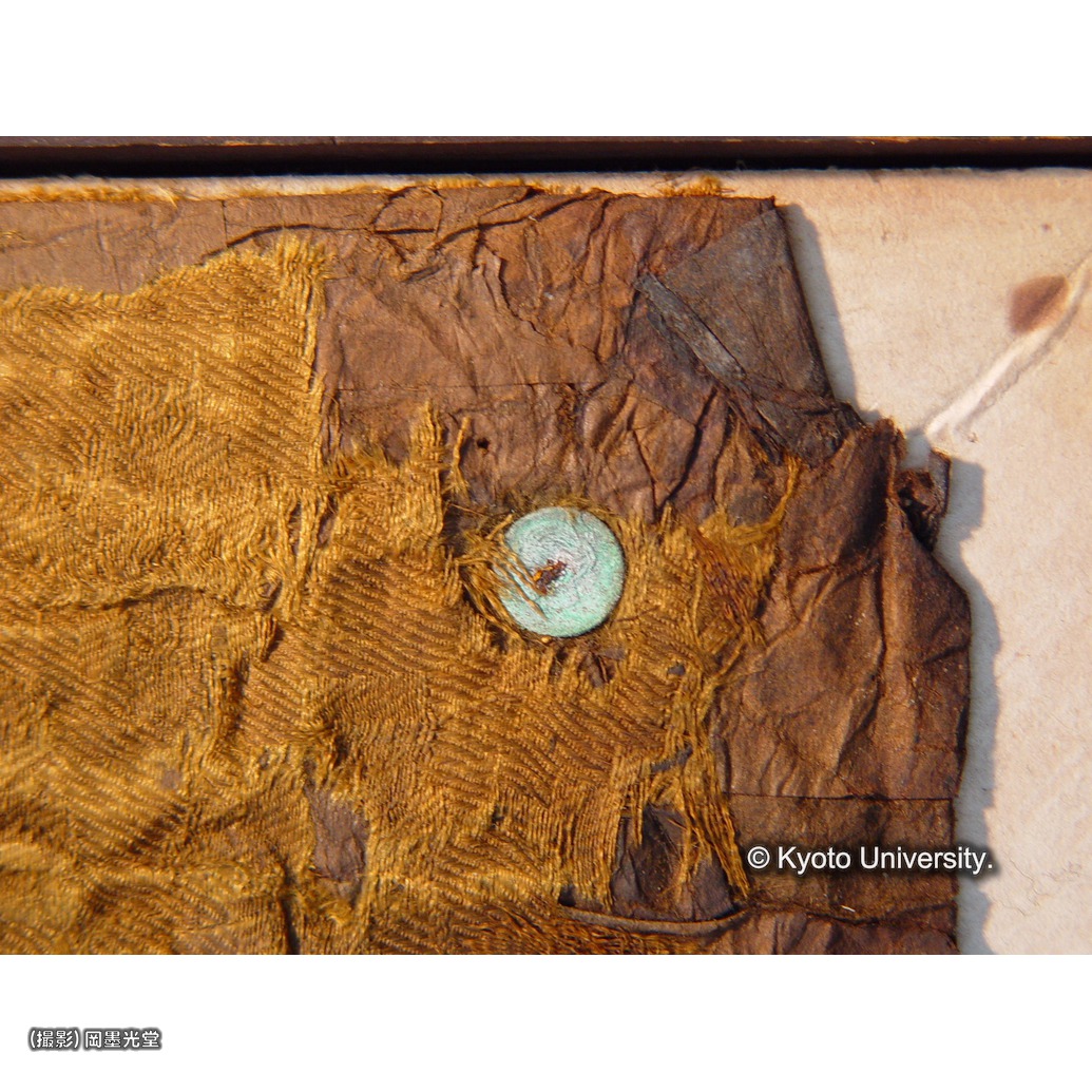 鋲有り（上裂） (1)