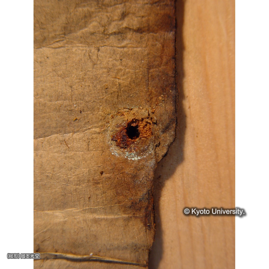 鋲無し（柱） (1)