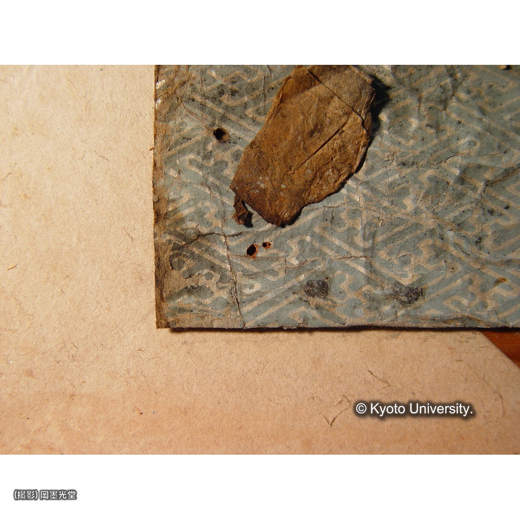 鋲無し（下裂） (1)