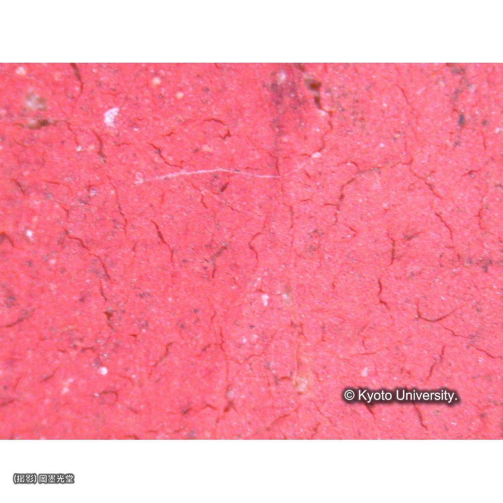 顕微鏡写真（中央上段：マリア衣服） (1)