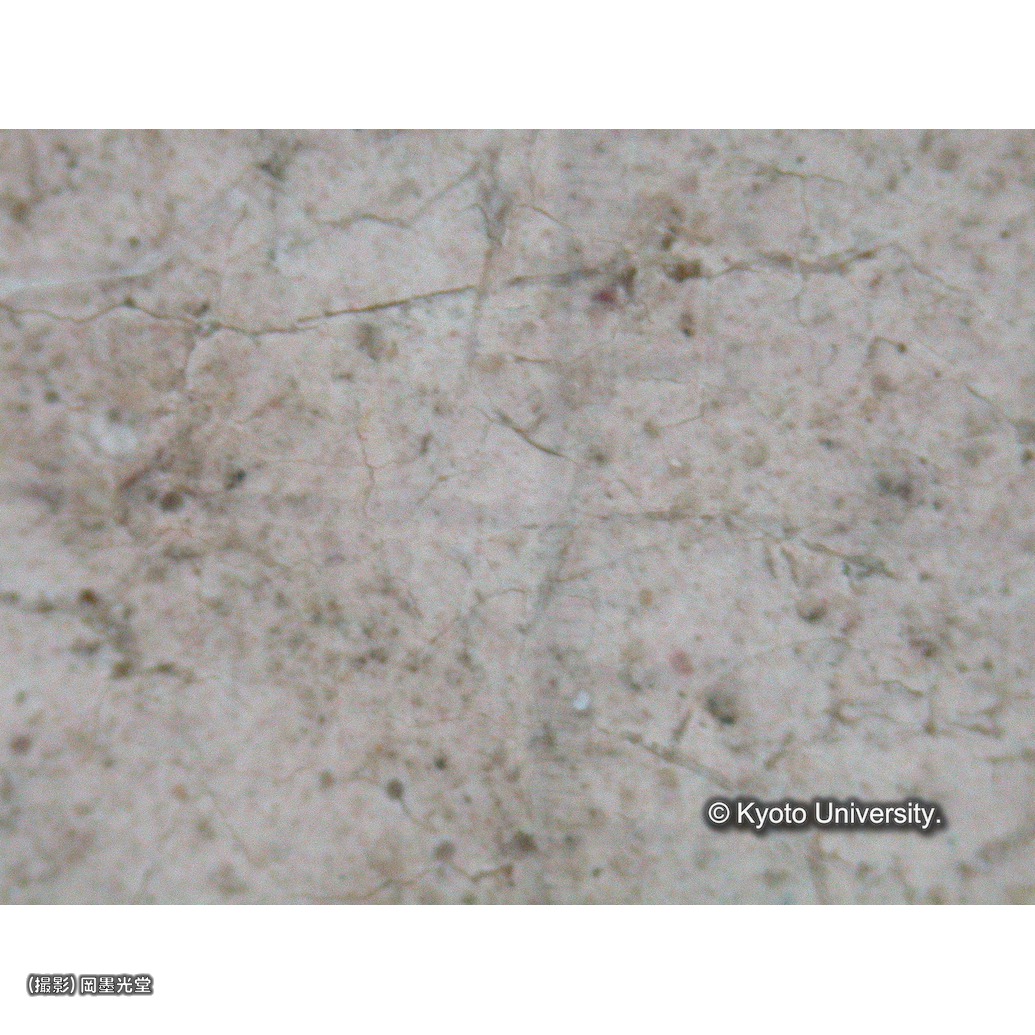 顕微鏡写真（中央上段：マリアの左手） (1)