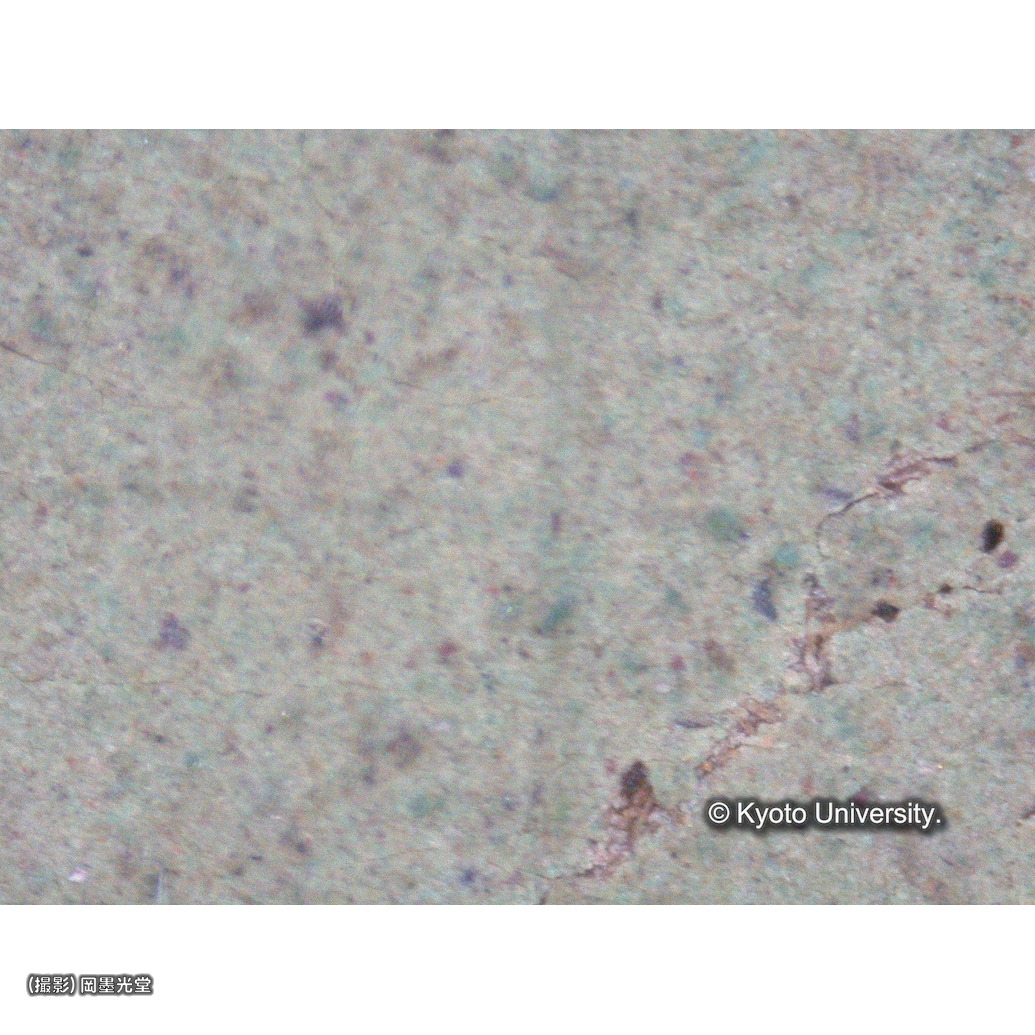 顕微鏡写真（枠線） (1)