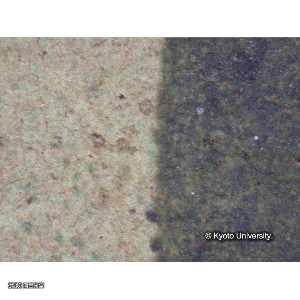 顕微鏡写真（十五玄義：第11図右下人物の衣服） (1)