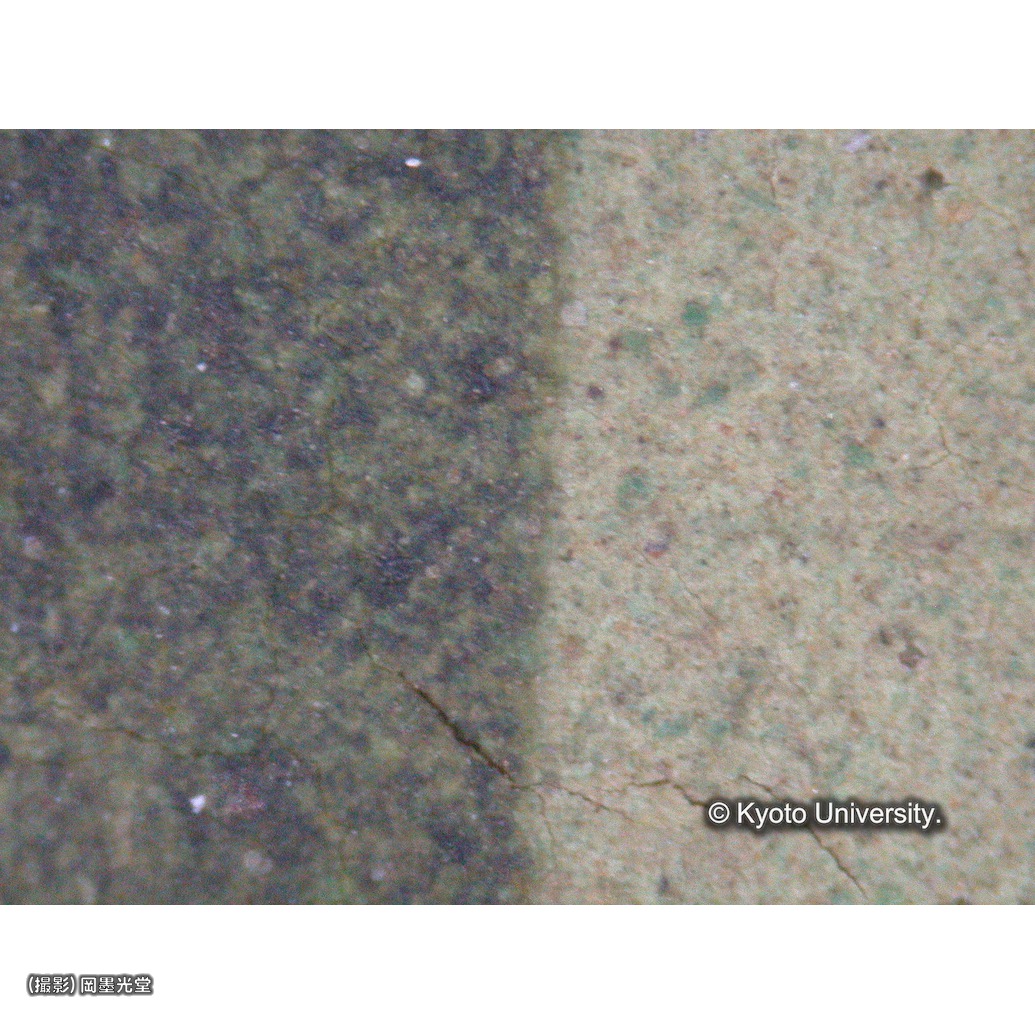 顕微鏡写真（十五玄義：第11図右下人物の衣服） (1)