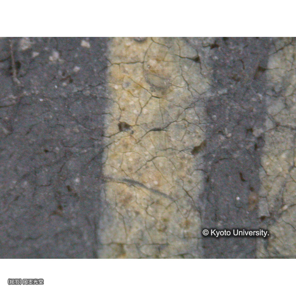 顕微鏡写真（中央下段：聖餅の光） (1)