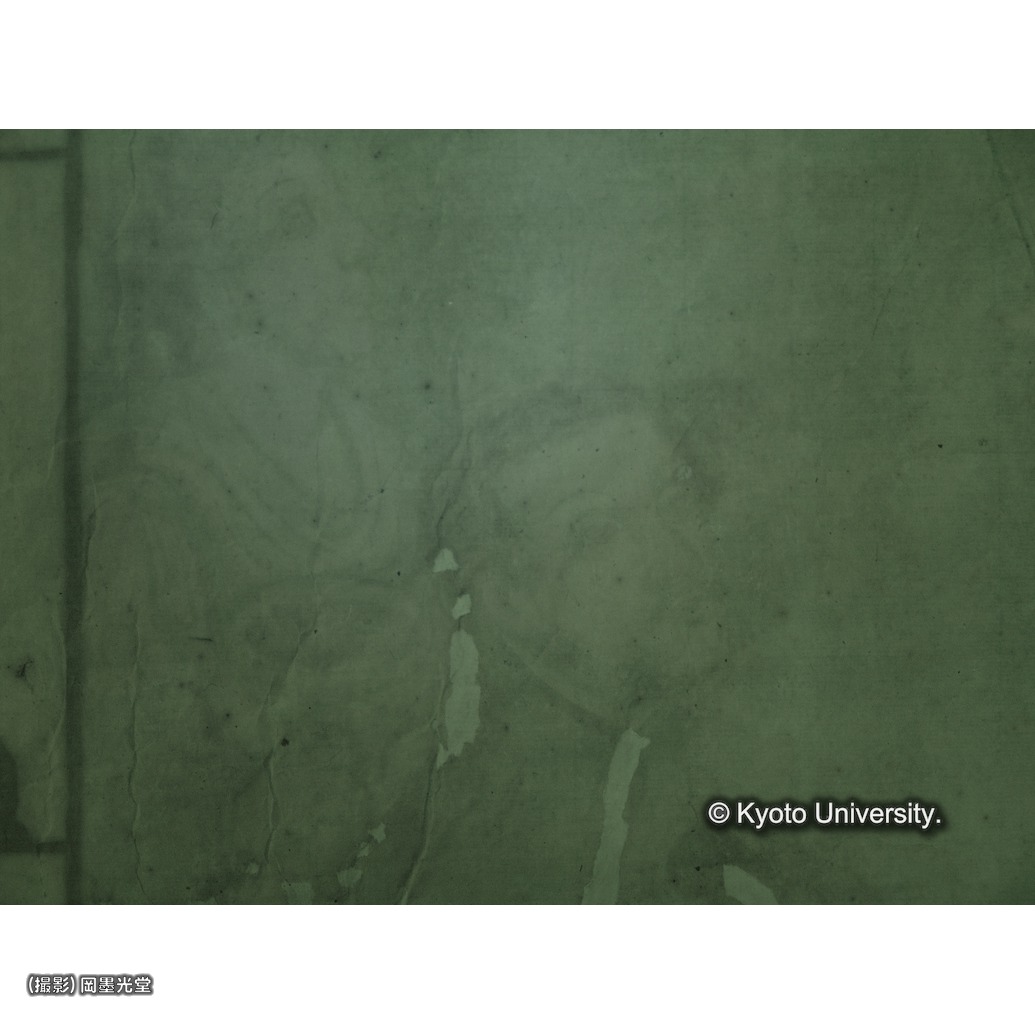 赤外線写真（補紙行程中） (1)