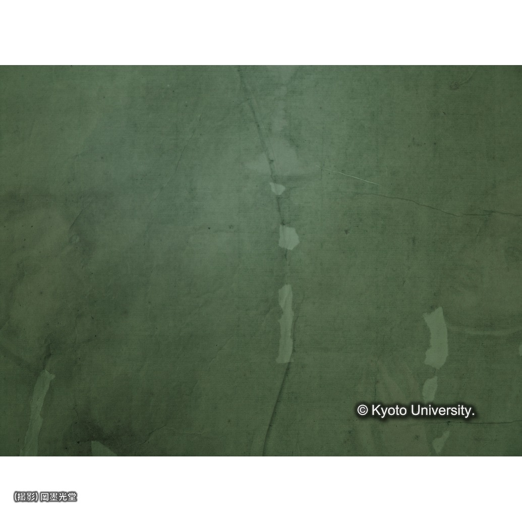 赤外線写真（補紙行程中） (1)