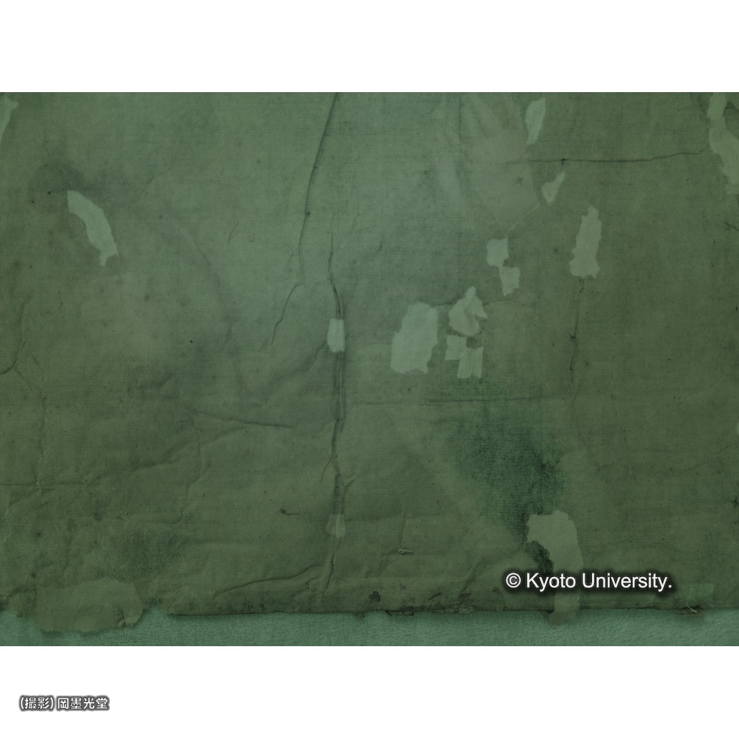 赤外線写真（補紙行程中） (1)