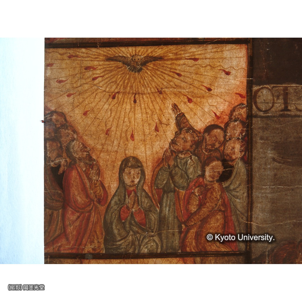 透過光写真（補紙行程中） (1)