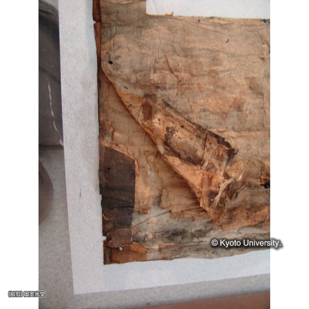 裏打ち除去（下裂） (1)