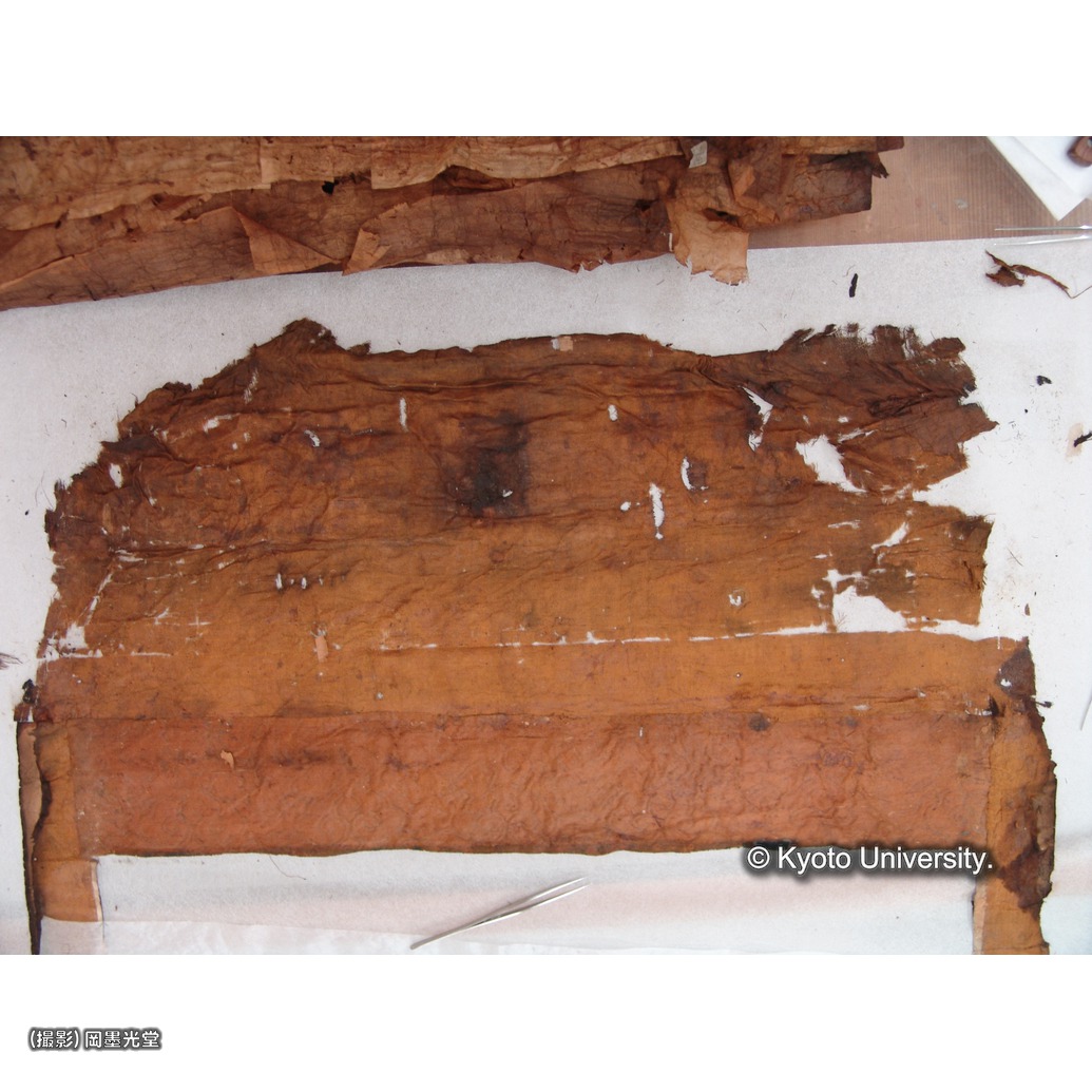 裏打ち除去後（上裂） (1)