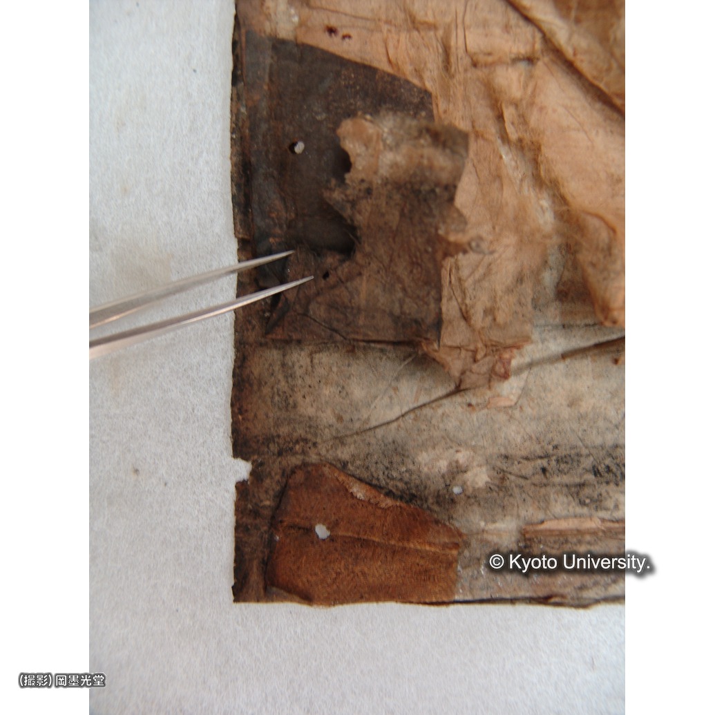 裏打ち除去（下裂） (1)