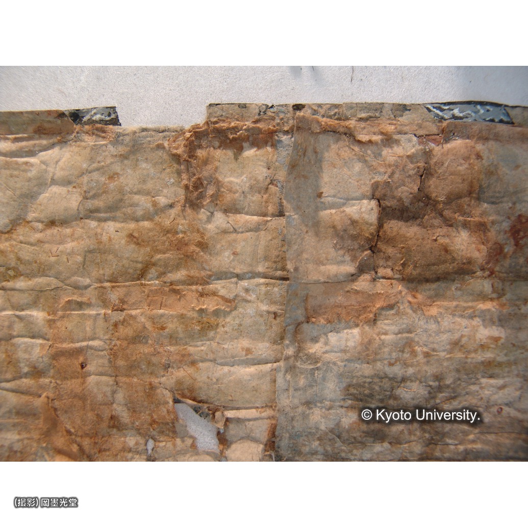 裏打ち除去後（下裂） (1)