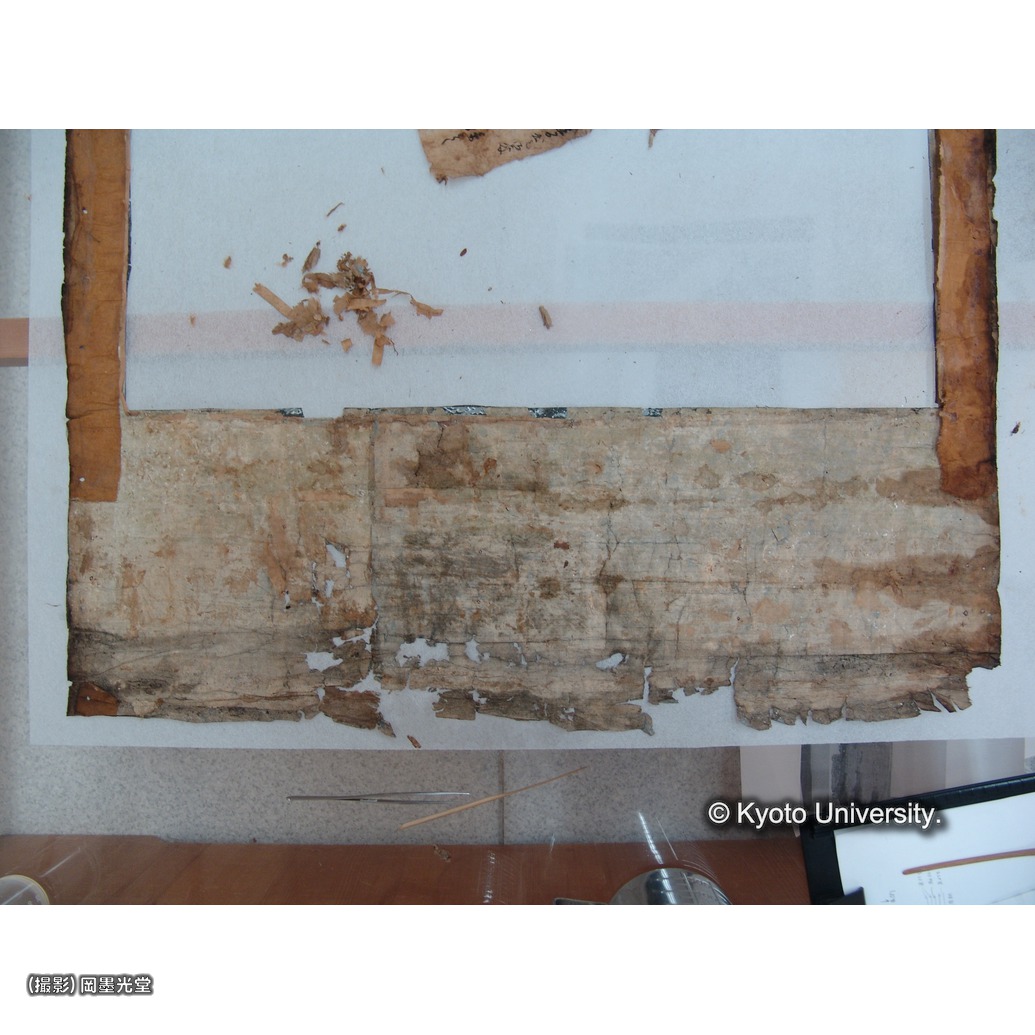 裏打ち除去後（下裂） (1)