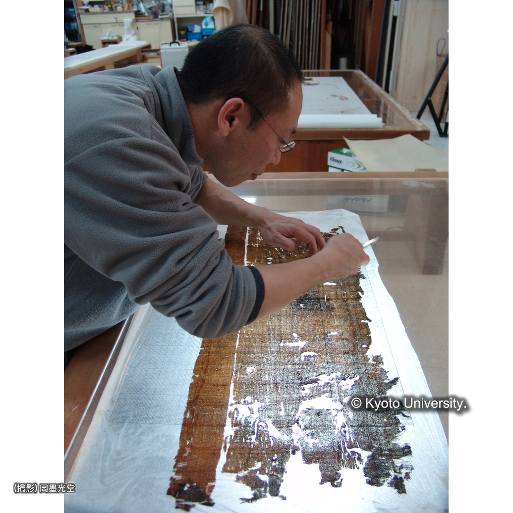 裏打ち（上裂） (1)