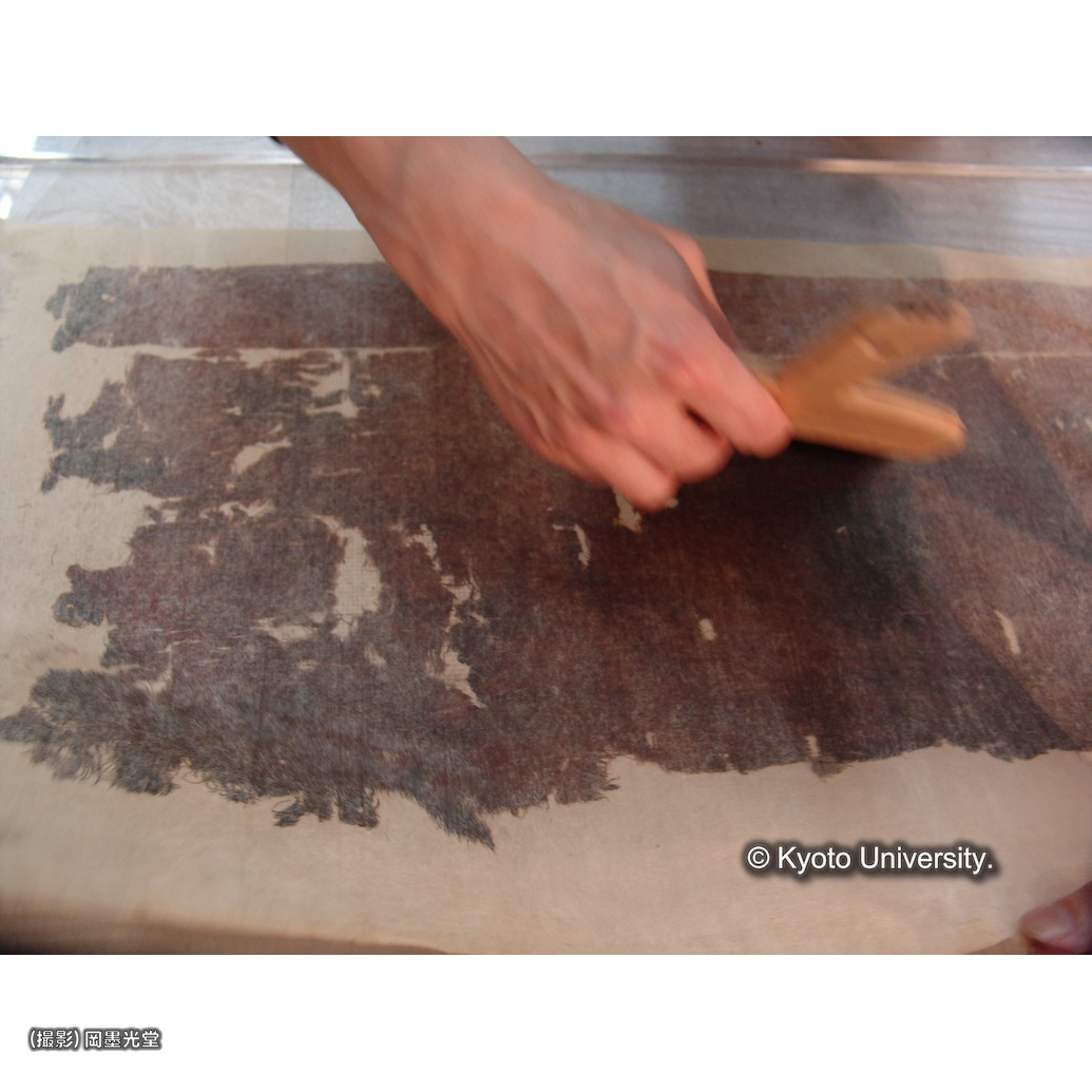 裏打ち（上裂） (1)