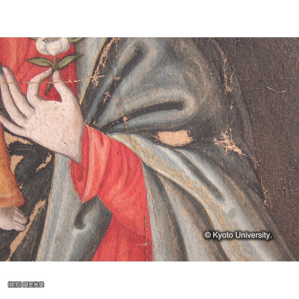 カラー写真（中央上段：マリア欠損部） (1)