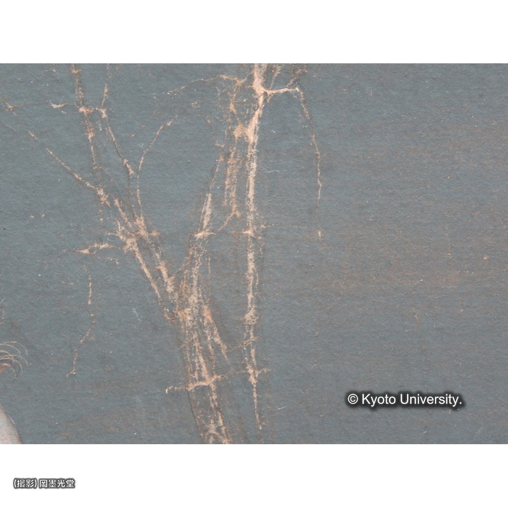 カラー写真（中央下段：折れ跡） (1)