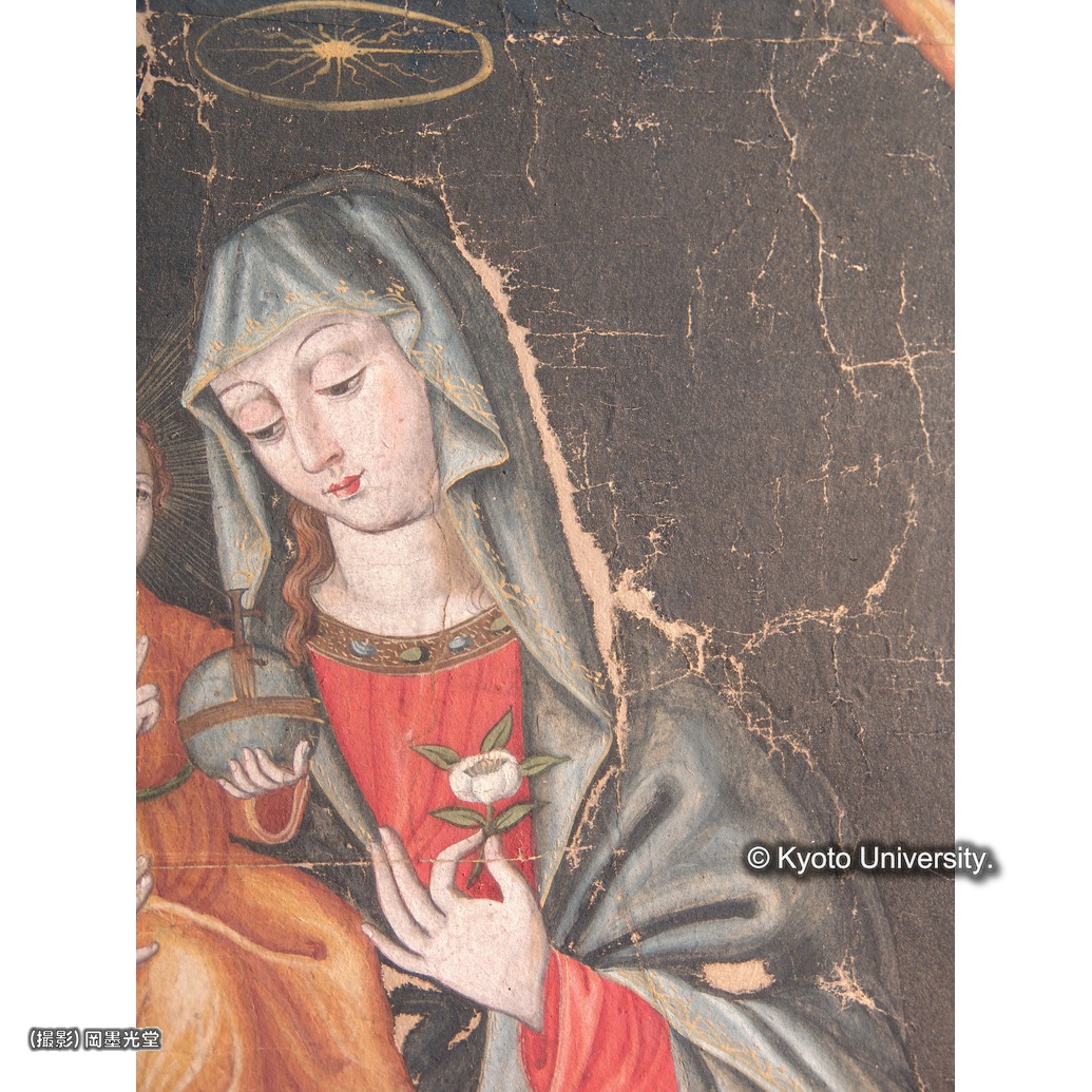 カラー写真（中央下段：マリア欠損部） (1)