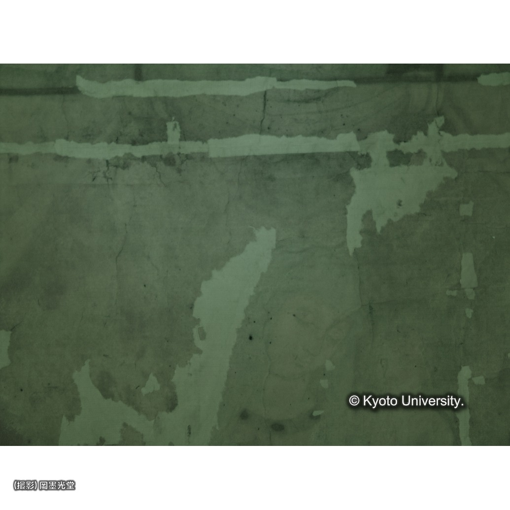 赤外線写真（補紙行程中） (1)