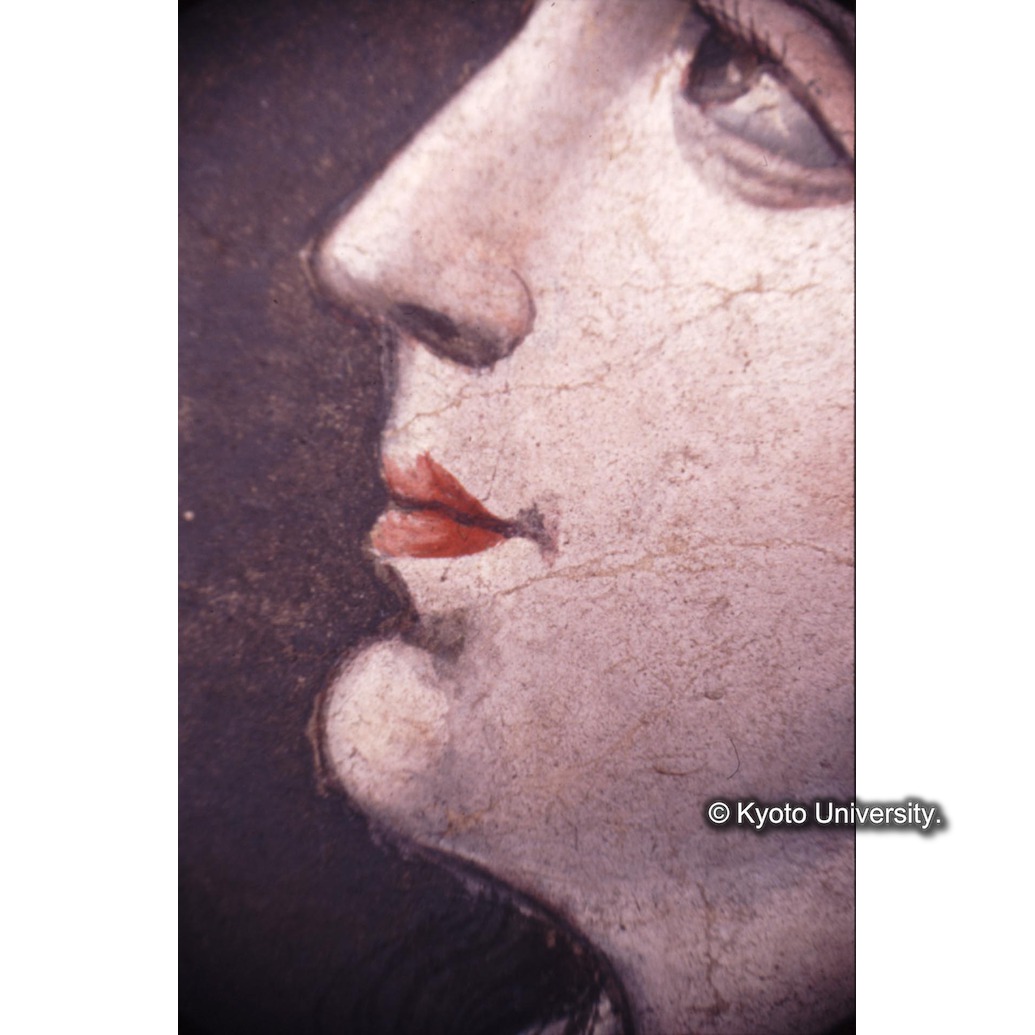 顕微鏡撮影カラー写真（中央下段：ルチア） (1)