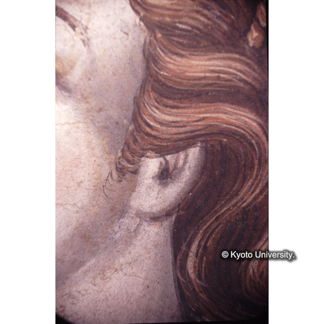 顕微鏡撮影カラー写真（中央下段：ルチア髪） (1)