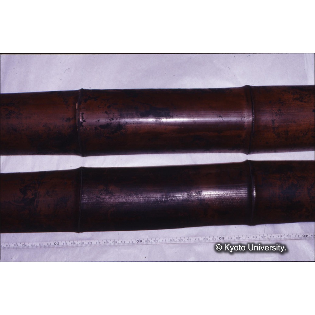 カラー写真（竹筒外側） (1)