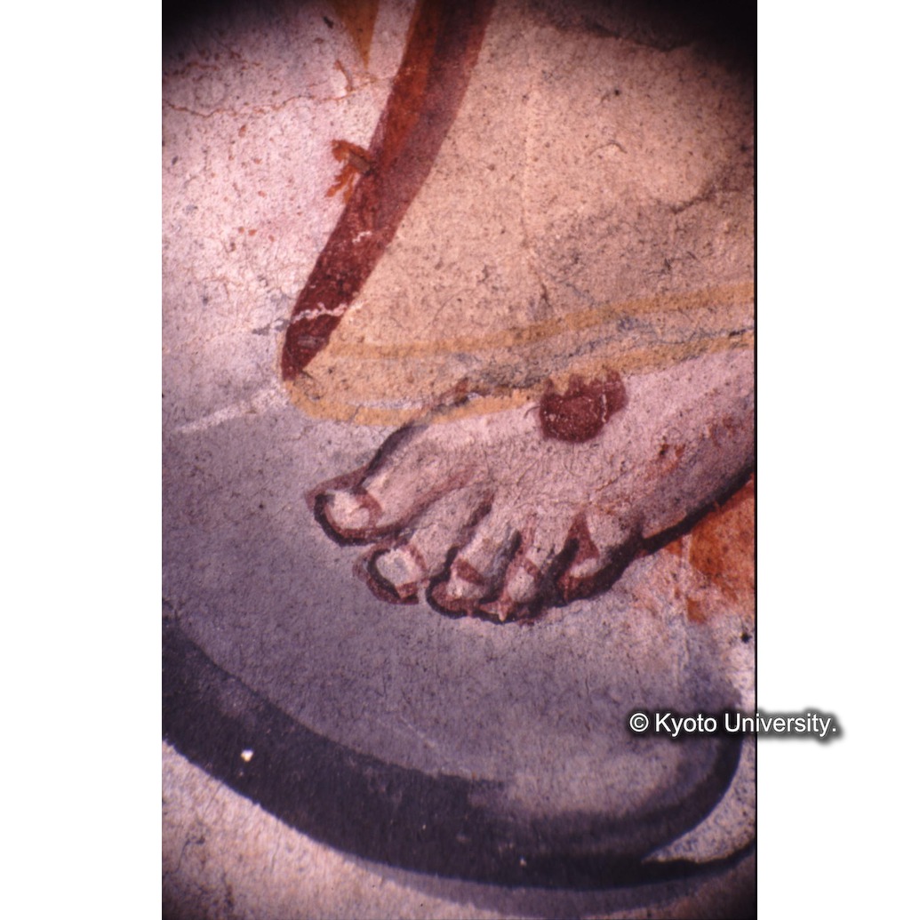 顕微鏡撮影カラー写真（十五玄義第十二図：キリスト足） (1)