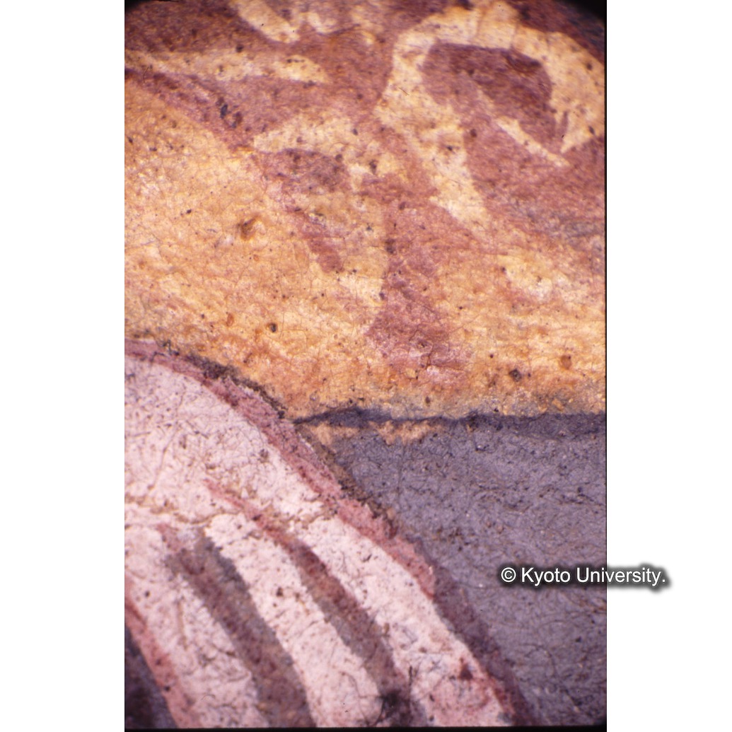 顕微鏡撮影カラー写真（十五玄義第四図：シメオン手・衣服） (1)