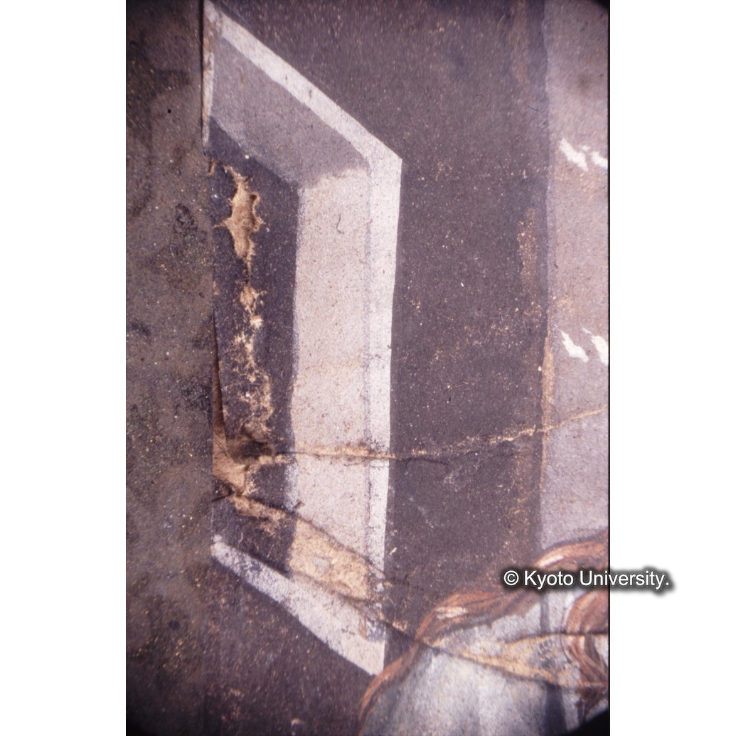 顕微鏡撮影カラー写真（十五玄義第一図：左側窓） (1)