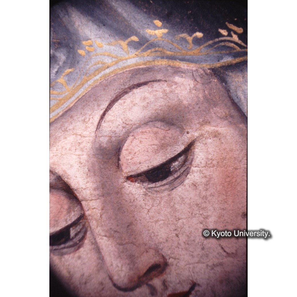 顕微鏡撮影カラー写真（中央上段：マリア） (1)