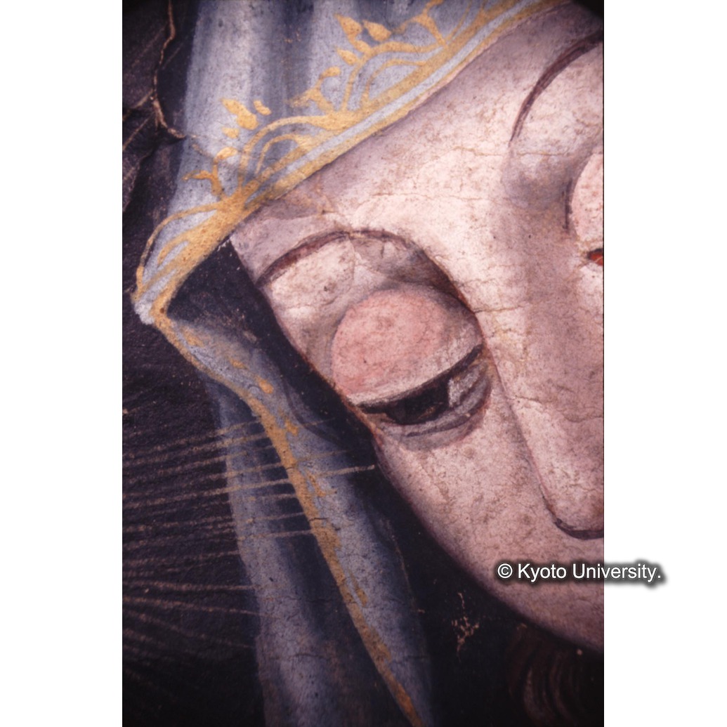 顕微鏡撮影カラー写真（中央上段：マリア） (1)