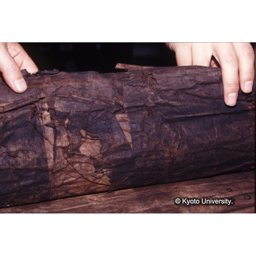 カラー写真（裏面：表具裏面） (1)