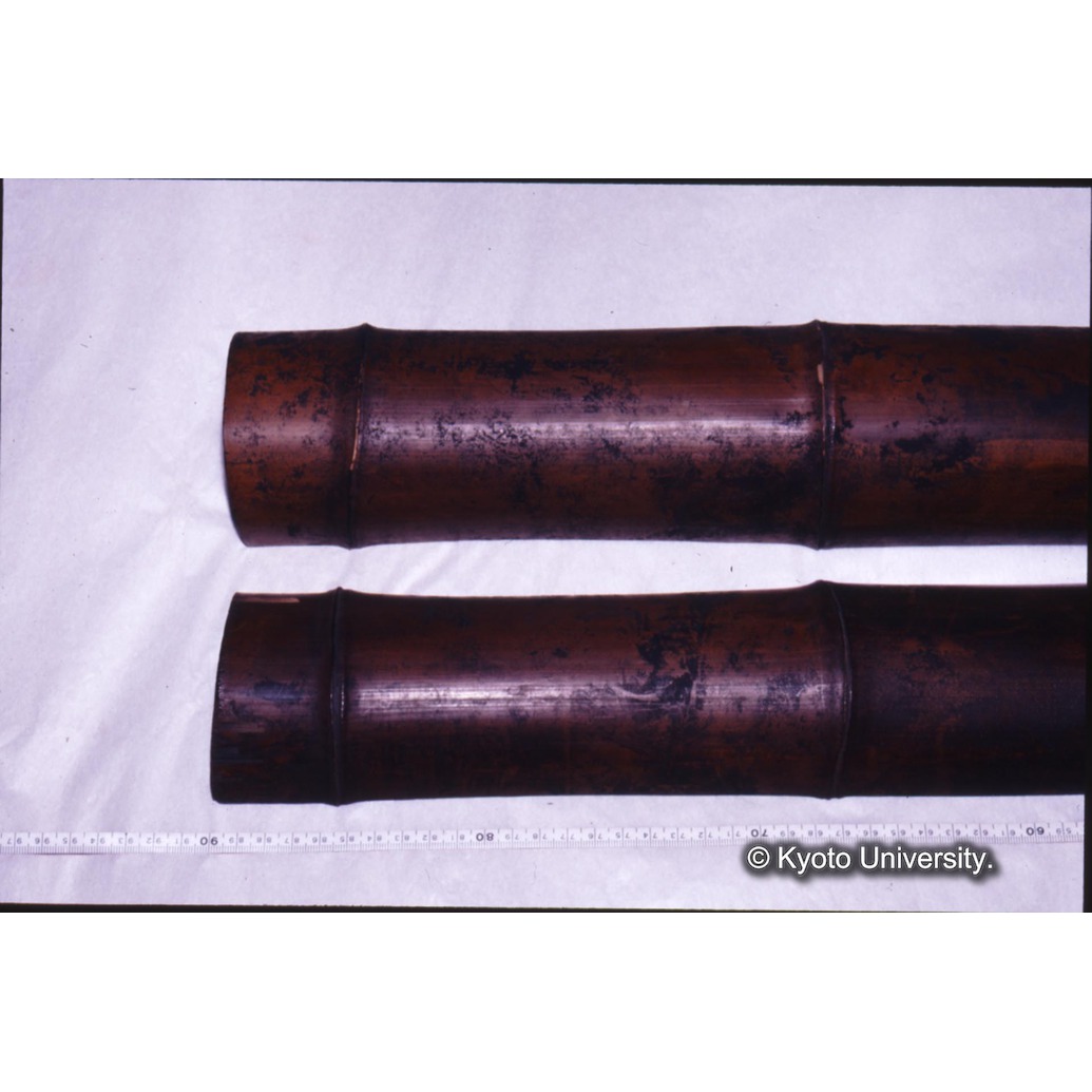 カラー写真（竹筒外側） (1)