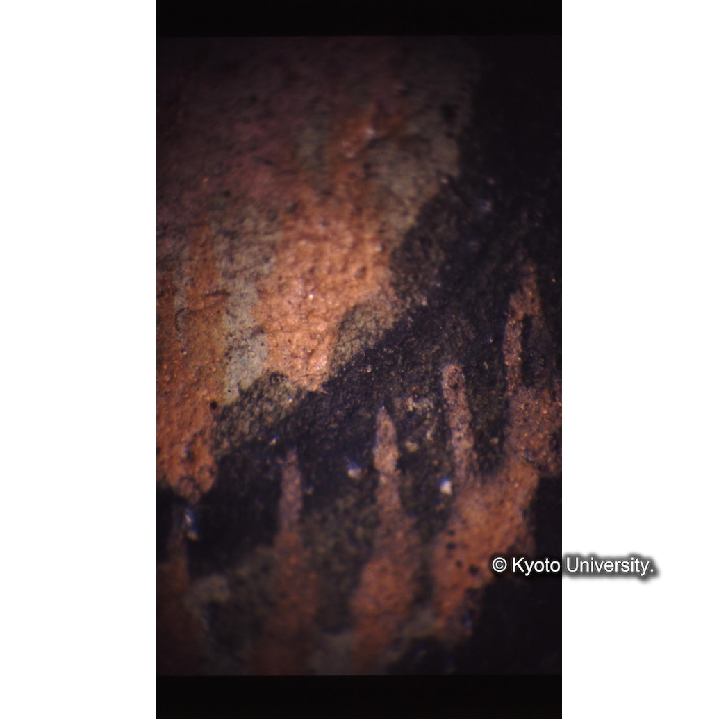 顕微鏡撮影カラー写真（十五玄義第十二図：左下側人物腕） (1)