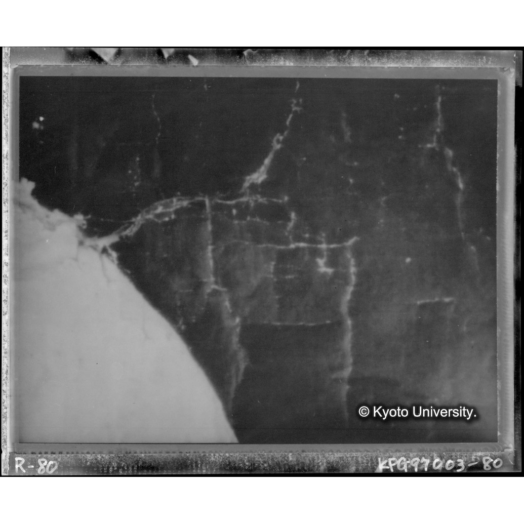 赤外線テレビ撮影画像写真（中央上段） (1)