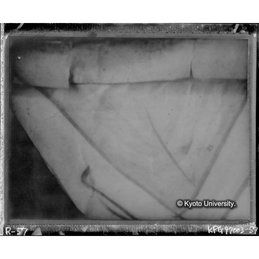 赤外線テレビ撮影画像写真（中央上段） (1)