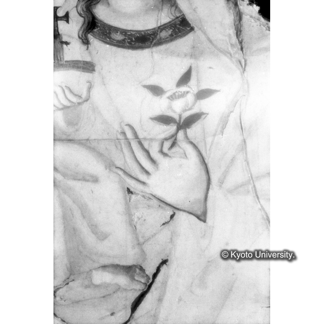 赤外線反射写真（中央上段：花） (1)