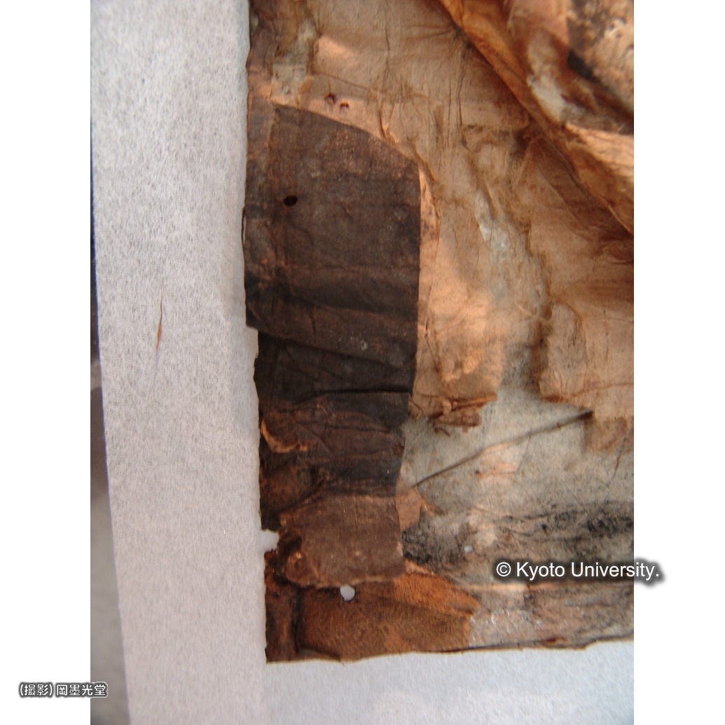 裏打ち除去（下裂） (1)