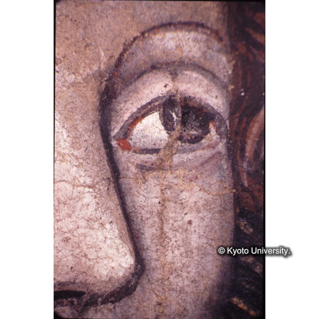 顕微鏡撮影カラー写真（中央上段：キリスト目） (1)