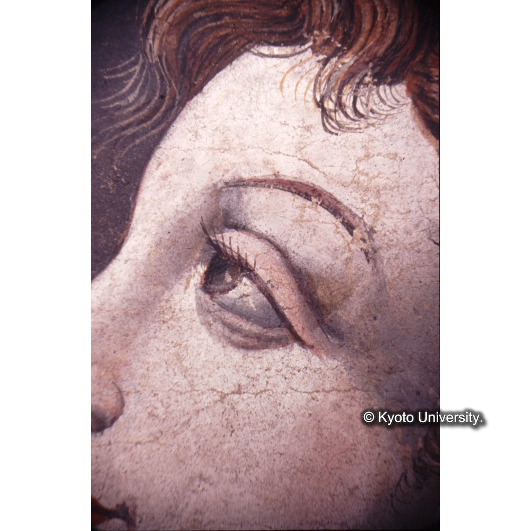 顕微鏡撮影カラー写真（中央下段：ルチア） (1)